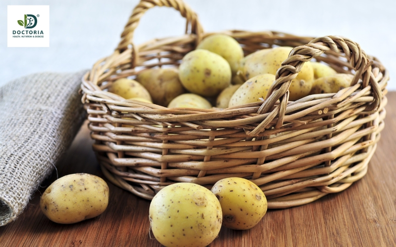 các chất dinh dưỡng