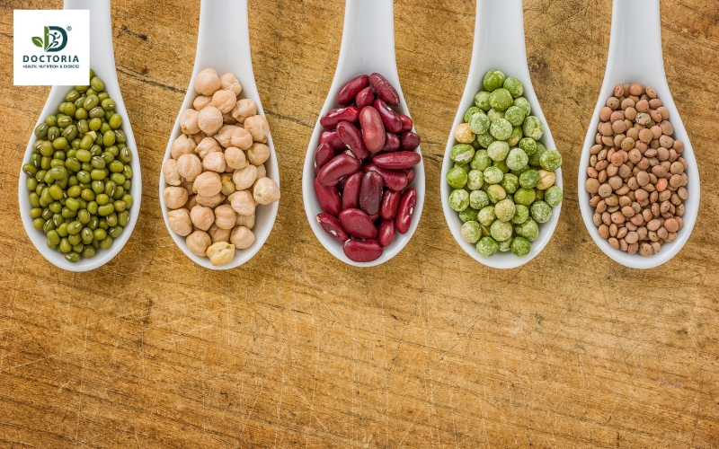 các chất dinh dưỡng