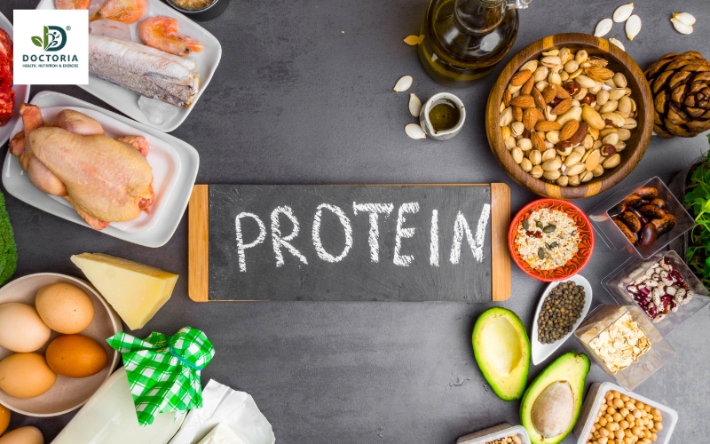 chất dinh dưỡng là gì