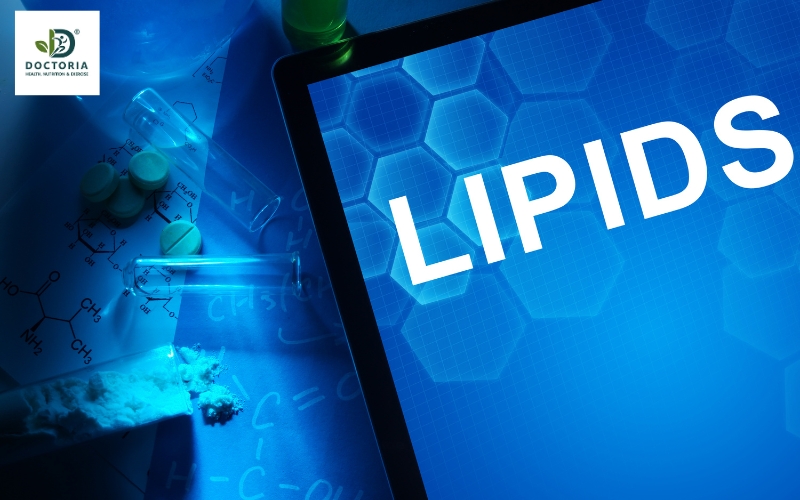 chất dinh dưỡng là gì