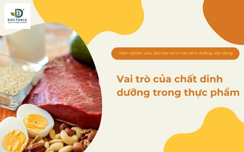 chất dinh dưỡng là gì