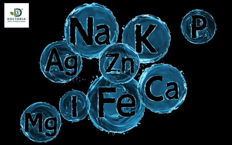 chất dinh dưỡng là gì
