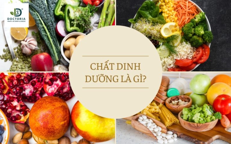 chất dinh dưỡng là gì
