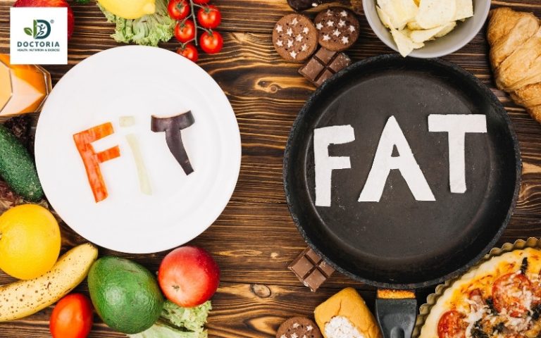 Chức năng dinh dưỡng của chất béo là gì