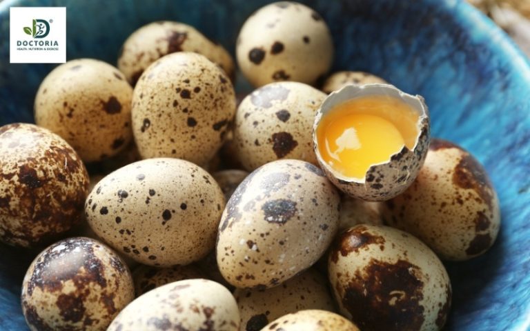 dinh dưỡng trong trứng cút