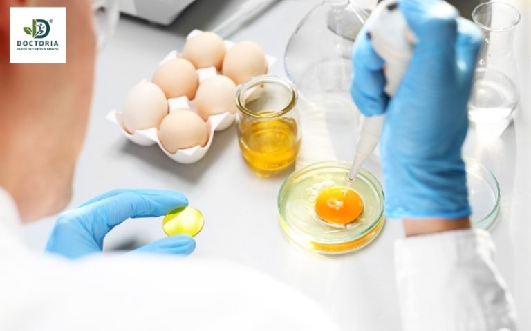 Giá trị dinh dưỡng của trứng gà